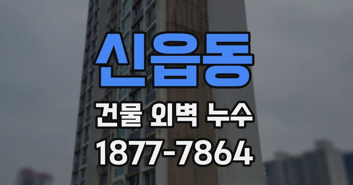 신읍동 건물 외벽 누수