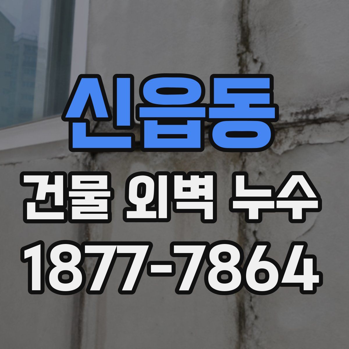 신읍동 건물 외벽 누수