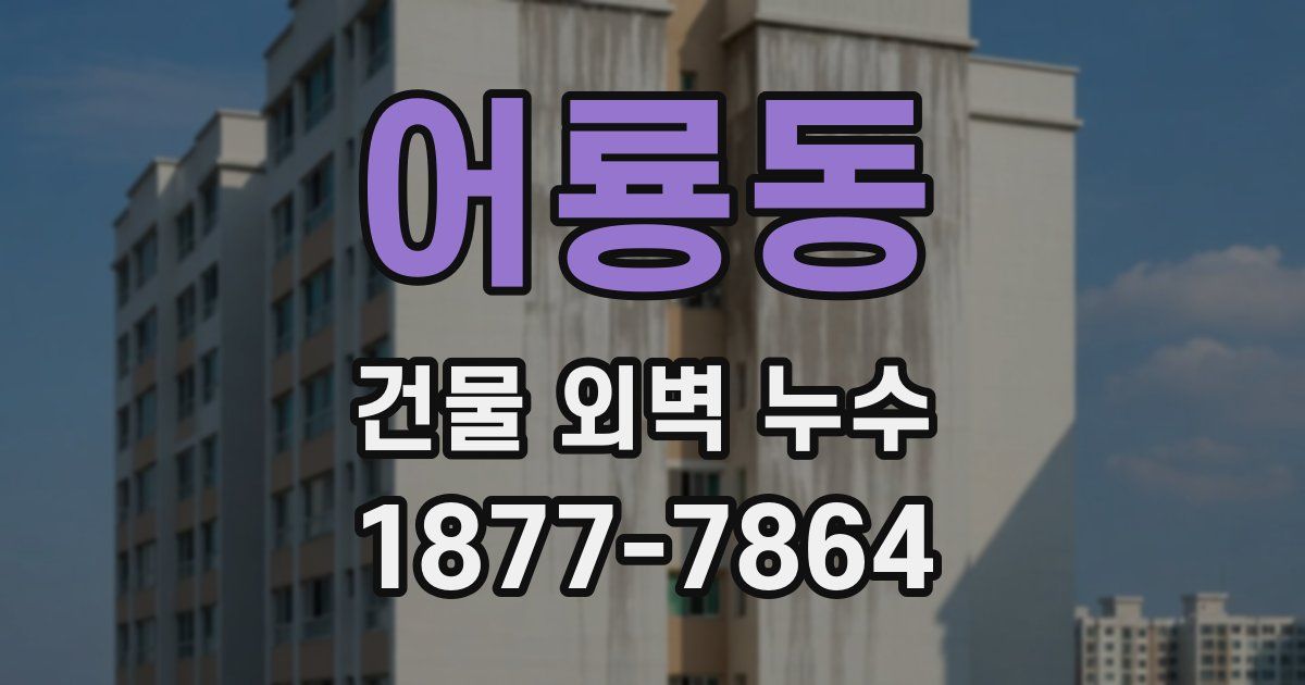 어룡동 건물 외벽 누수