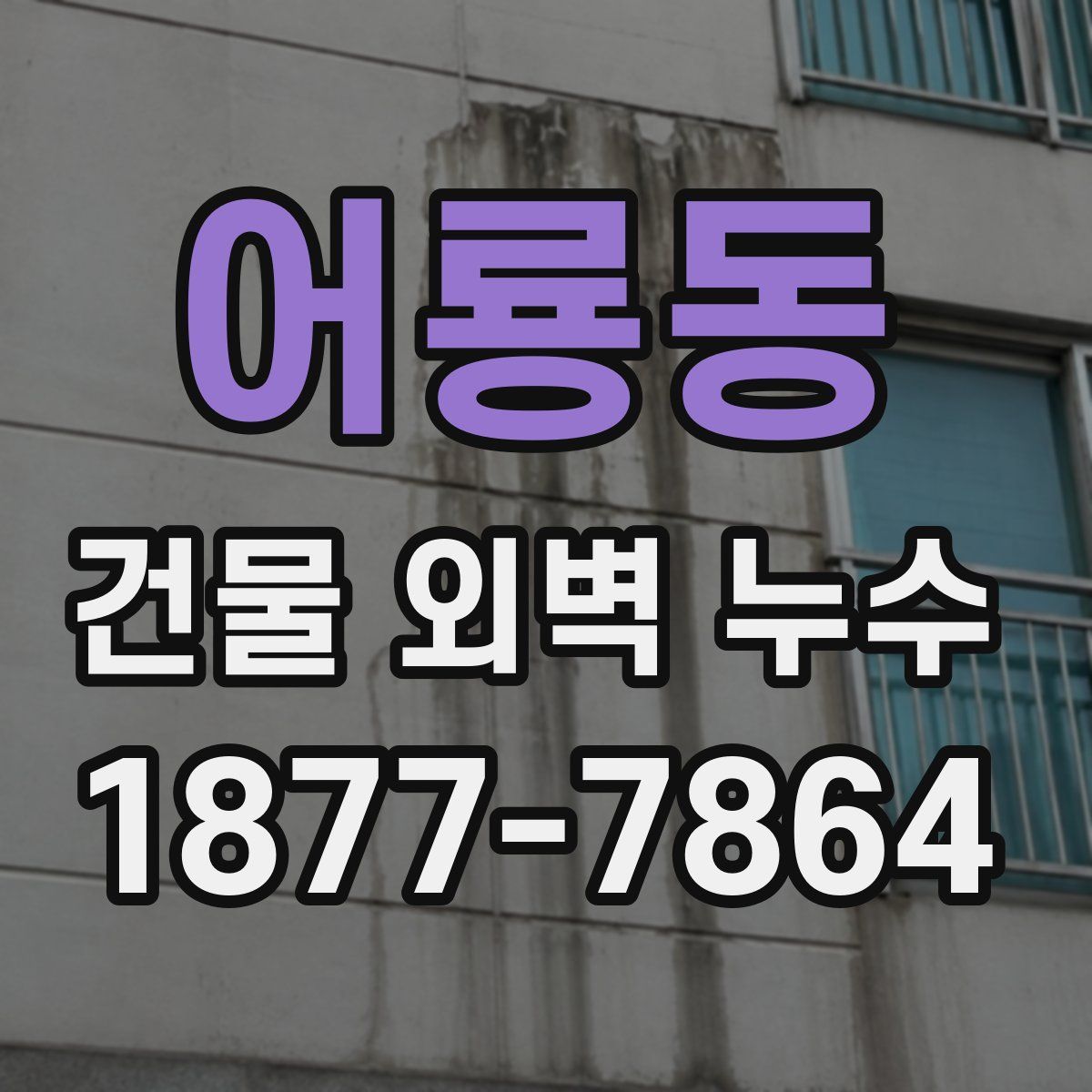 어룡동 건물 외벽 누수