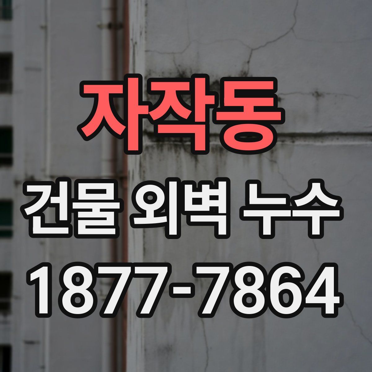 자작동 건물 외벽 누수