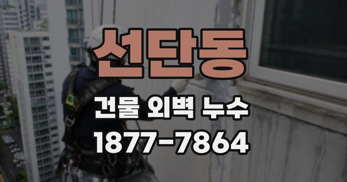 선단동 건물 외벽 누수