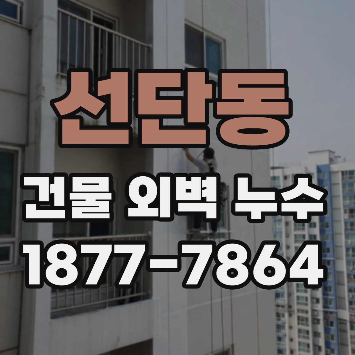 선단동 건물 외벽 누수