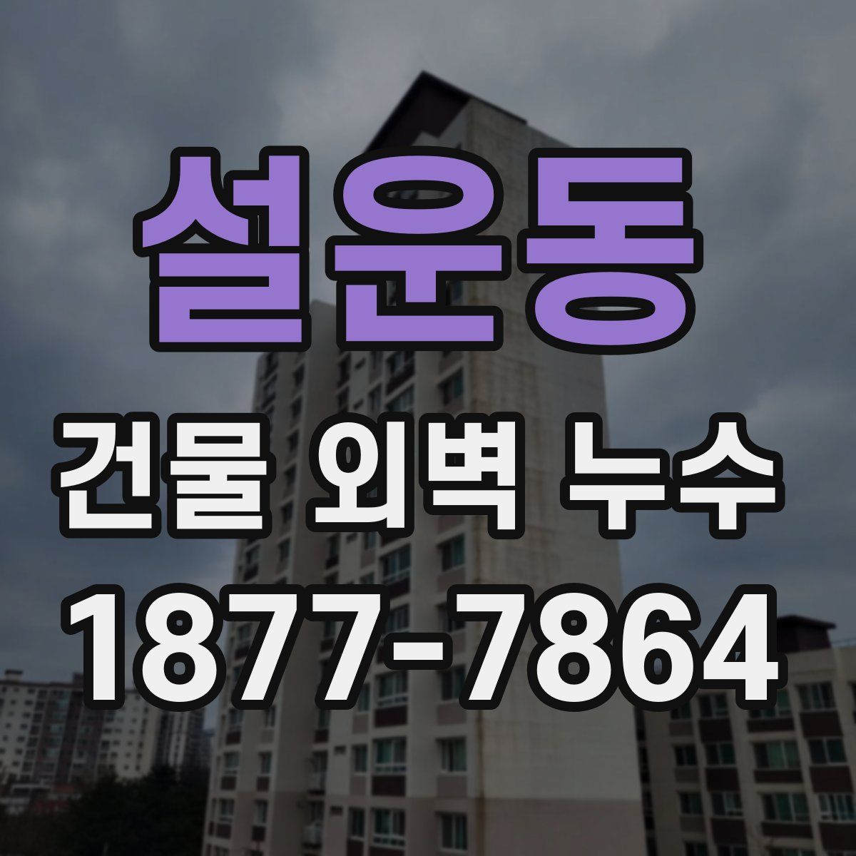 설운동 건물 외벽 누수