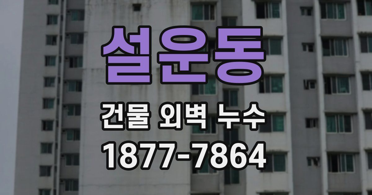 설운동 건물 외벽 누수