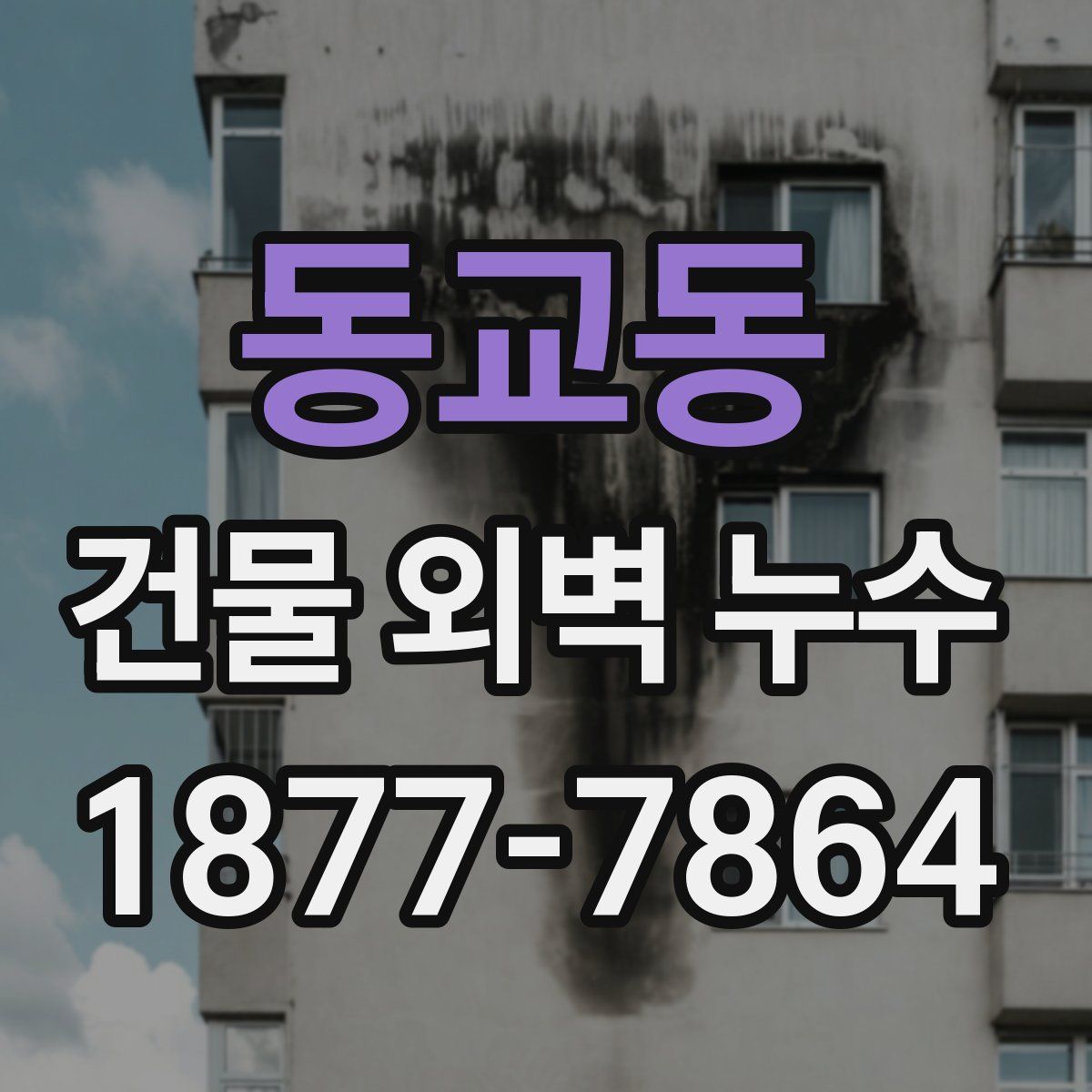 동교동 건물 외벽 누수