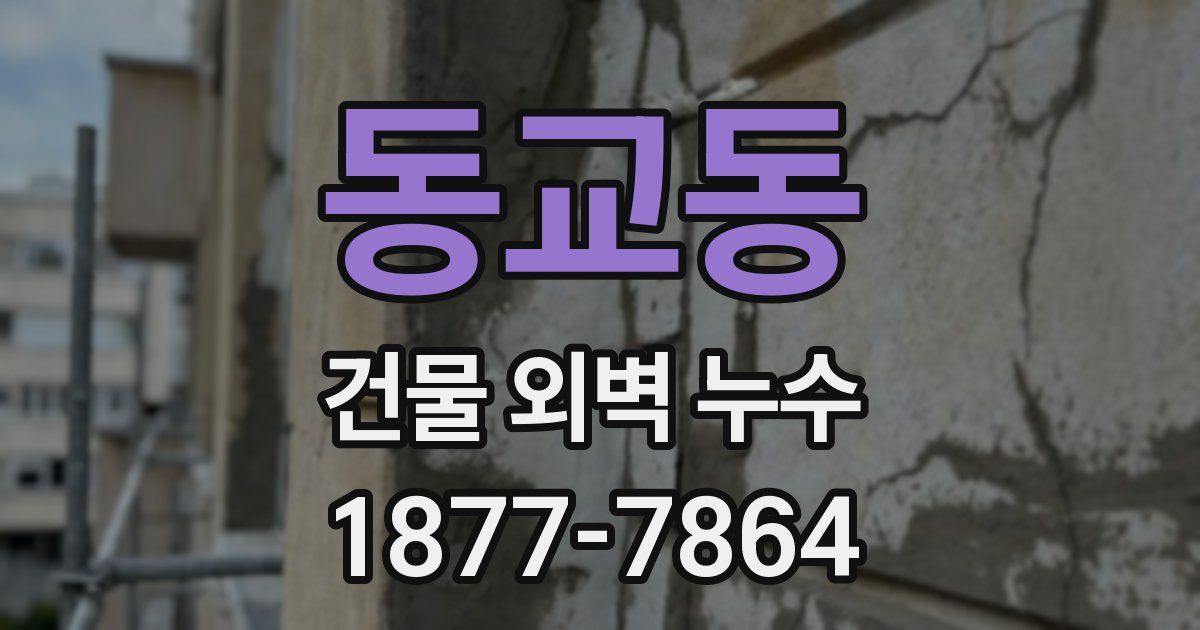동교동 건물 외벽 누수