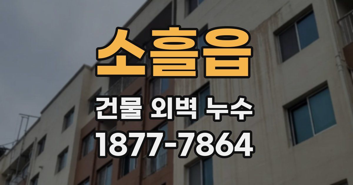 소흘읍 건물 외벽 누수