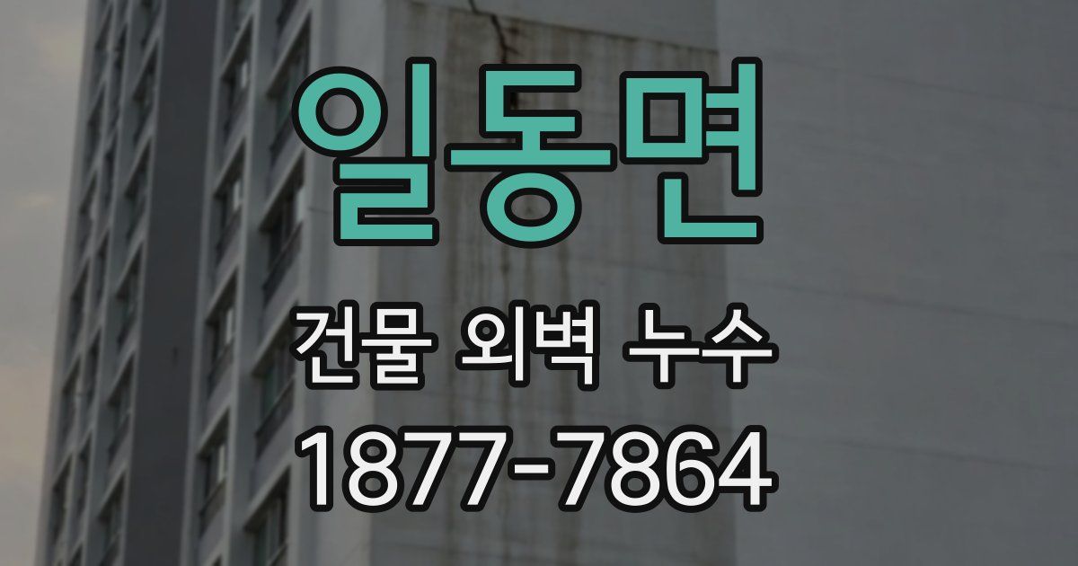 일동면 건물 외벽 누수