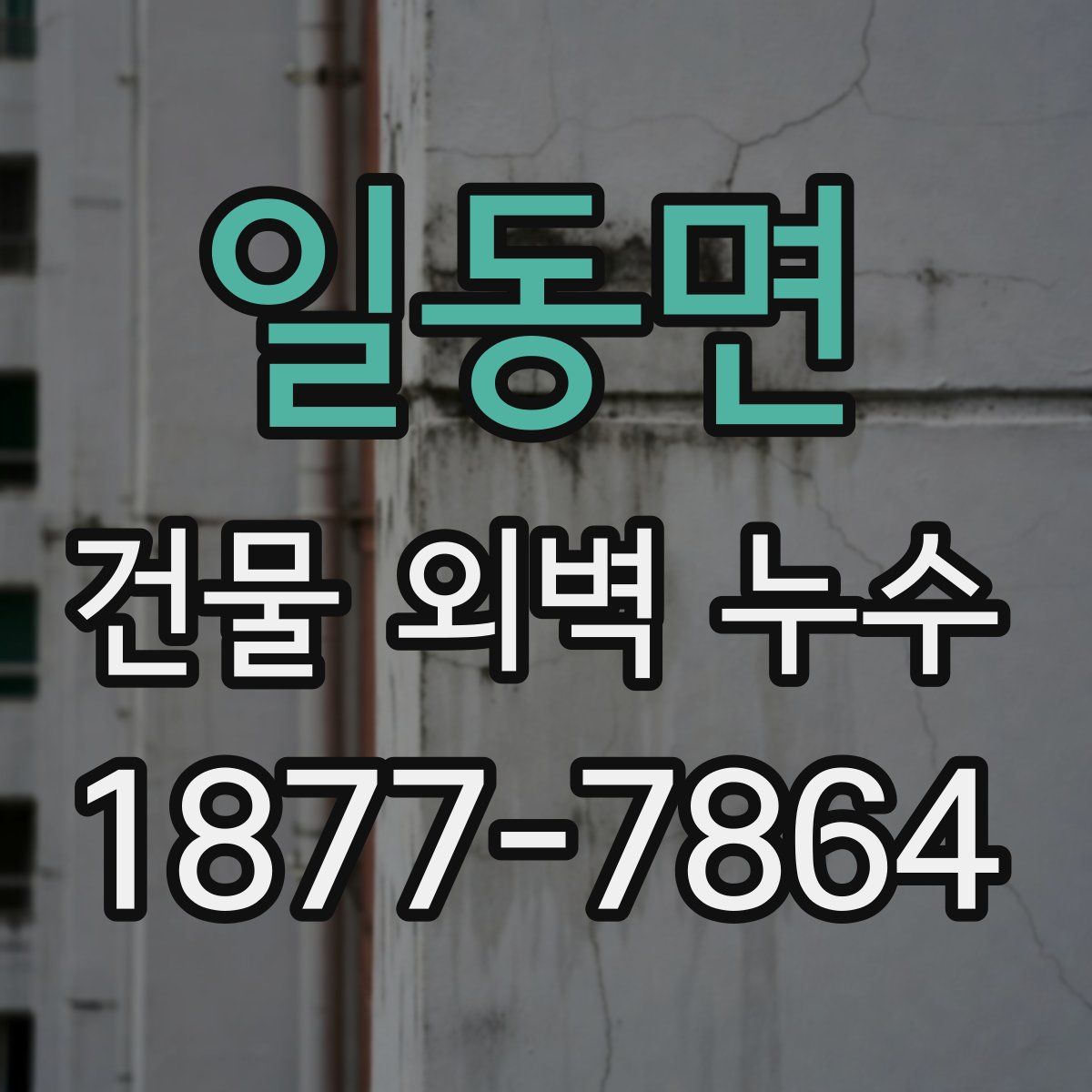 일동면 건물 외벽 누수