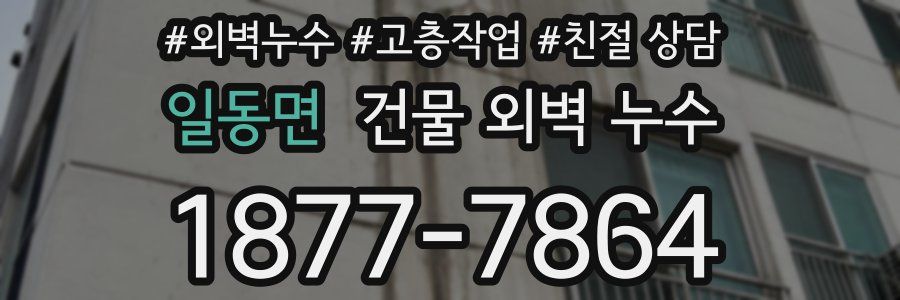 일동면 건물 외벽 누수