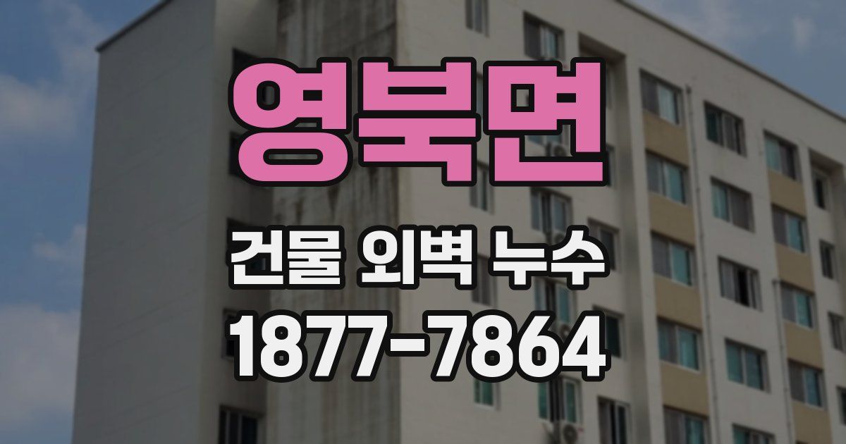 영북면 건물 외벽 누수