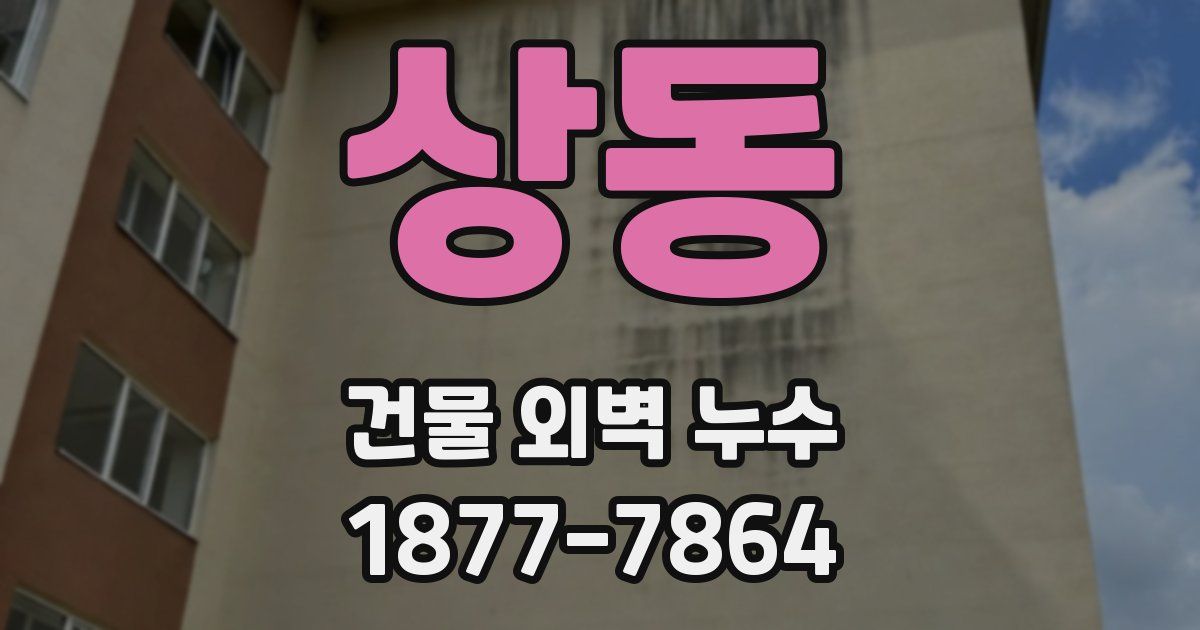 상동 건물 외벽 누수