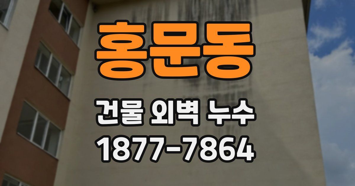홍문동 건물 외벽 누수