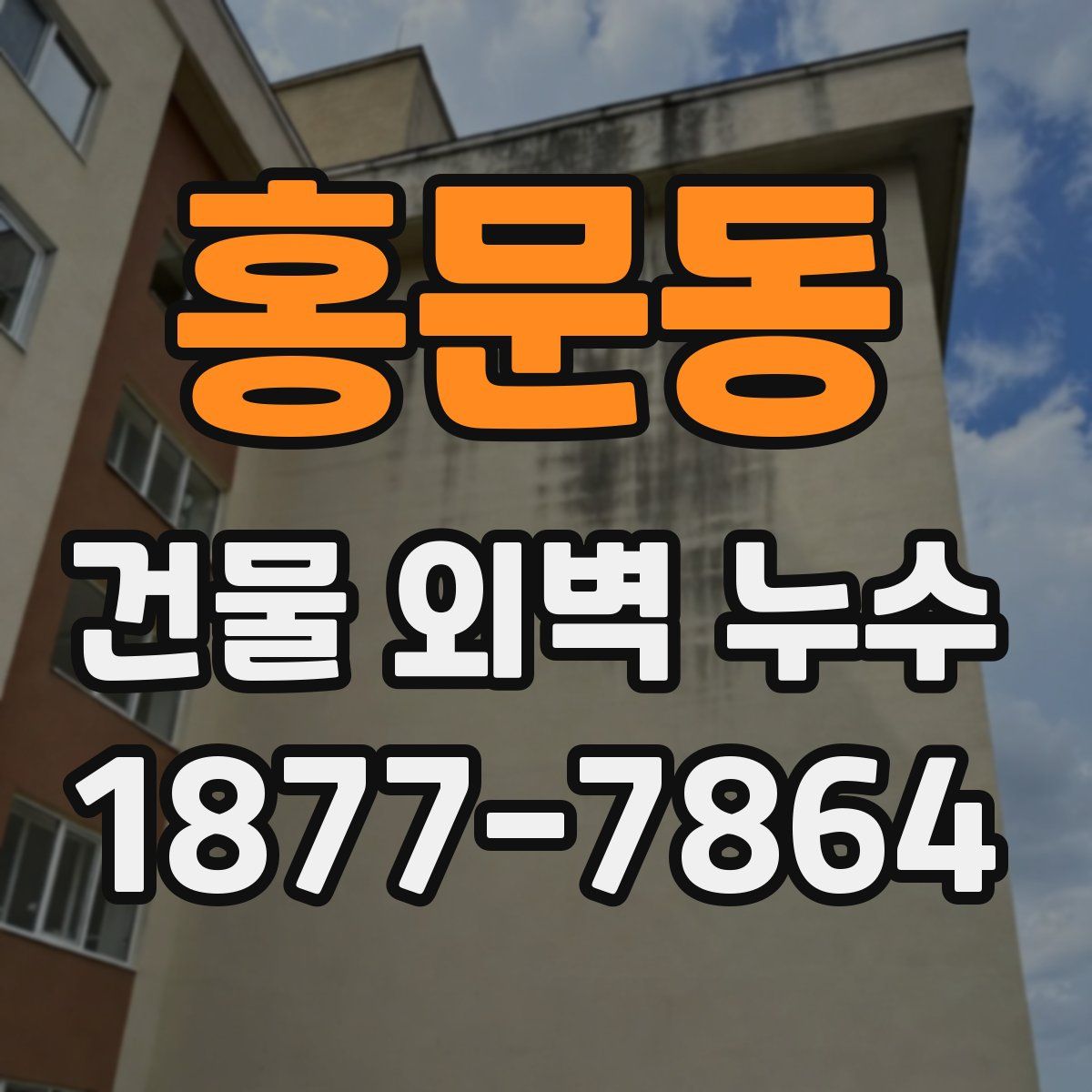 홍문동 건물 외벽 누수