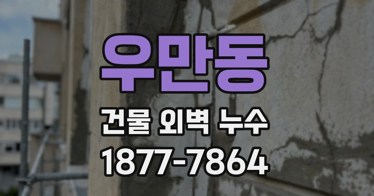 우만동 건물 외벽 누수