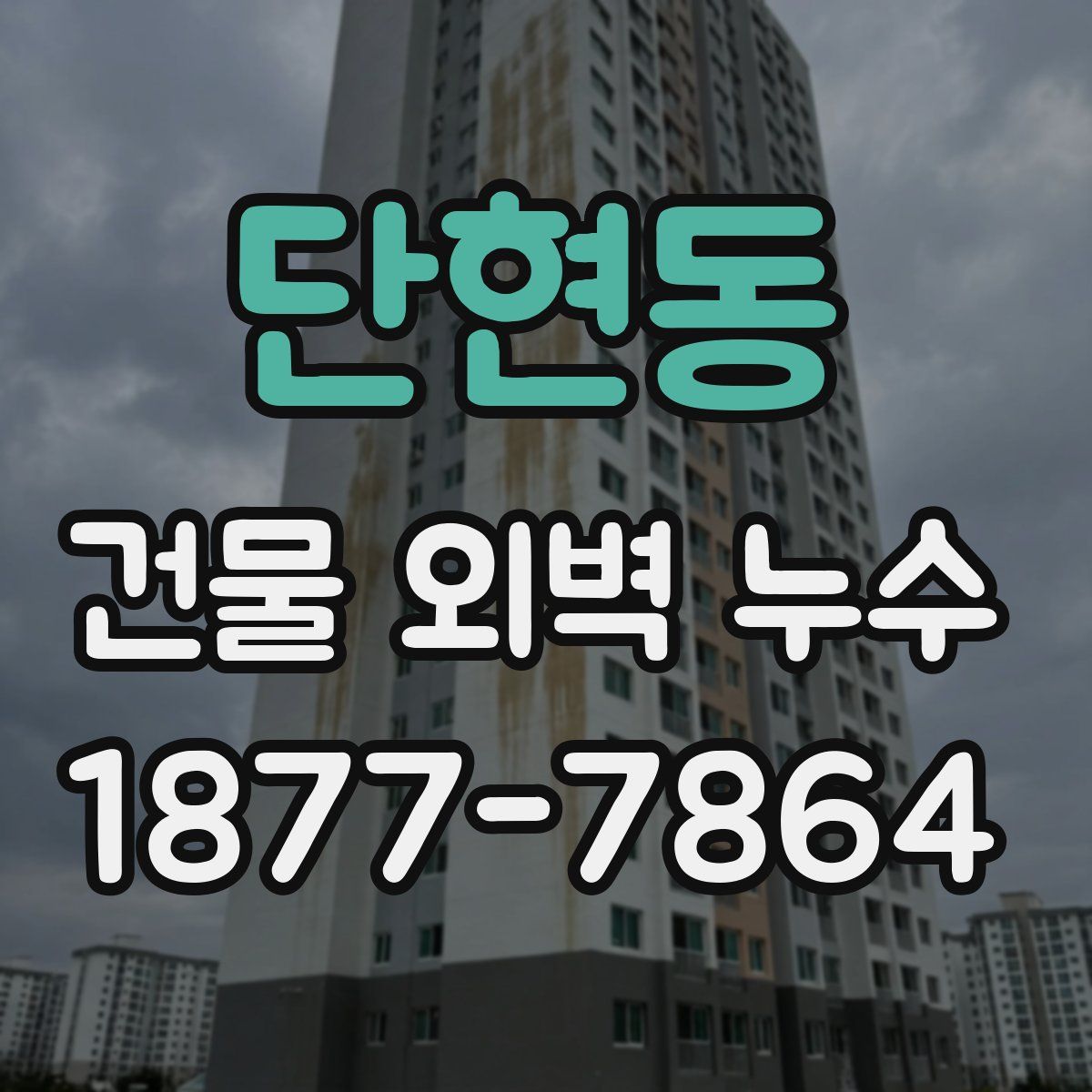 단현동 건물 외벽 누수