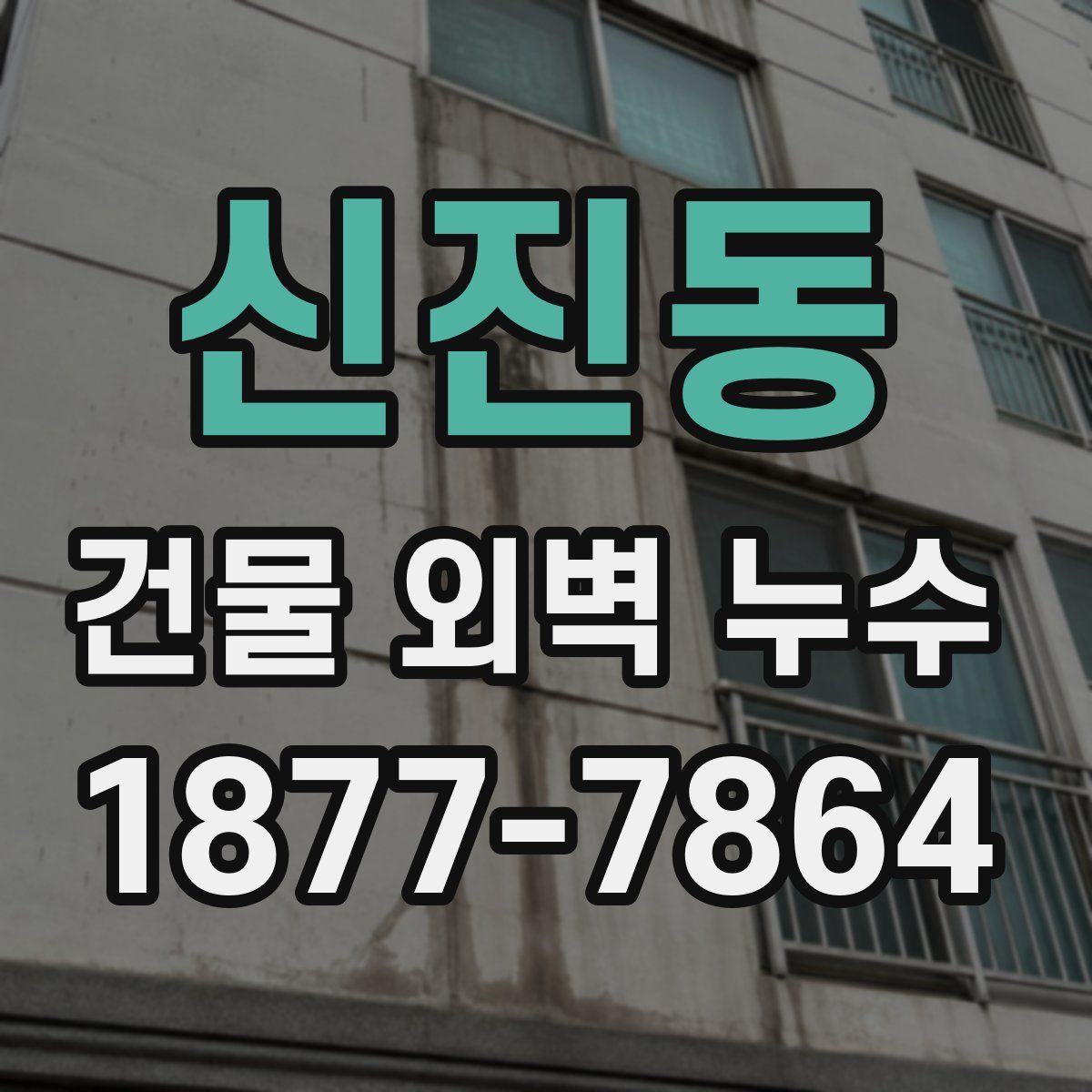 신진동 건물 외벽 누수