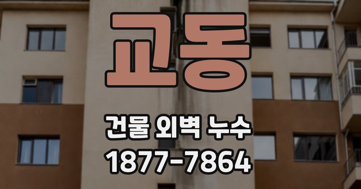 교동 건물 외벽 누수