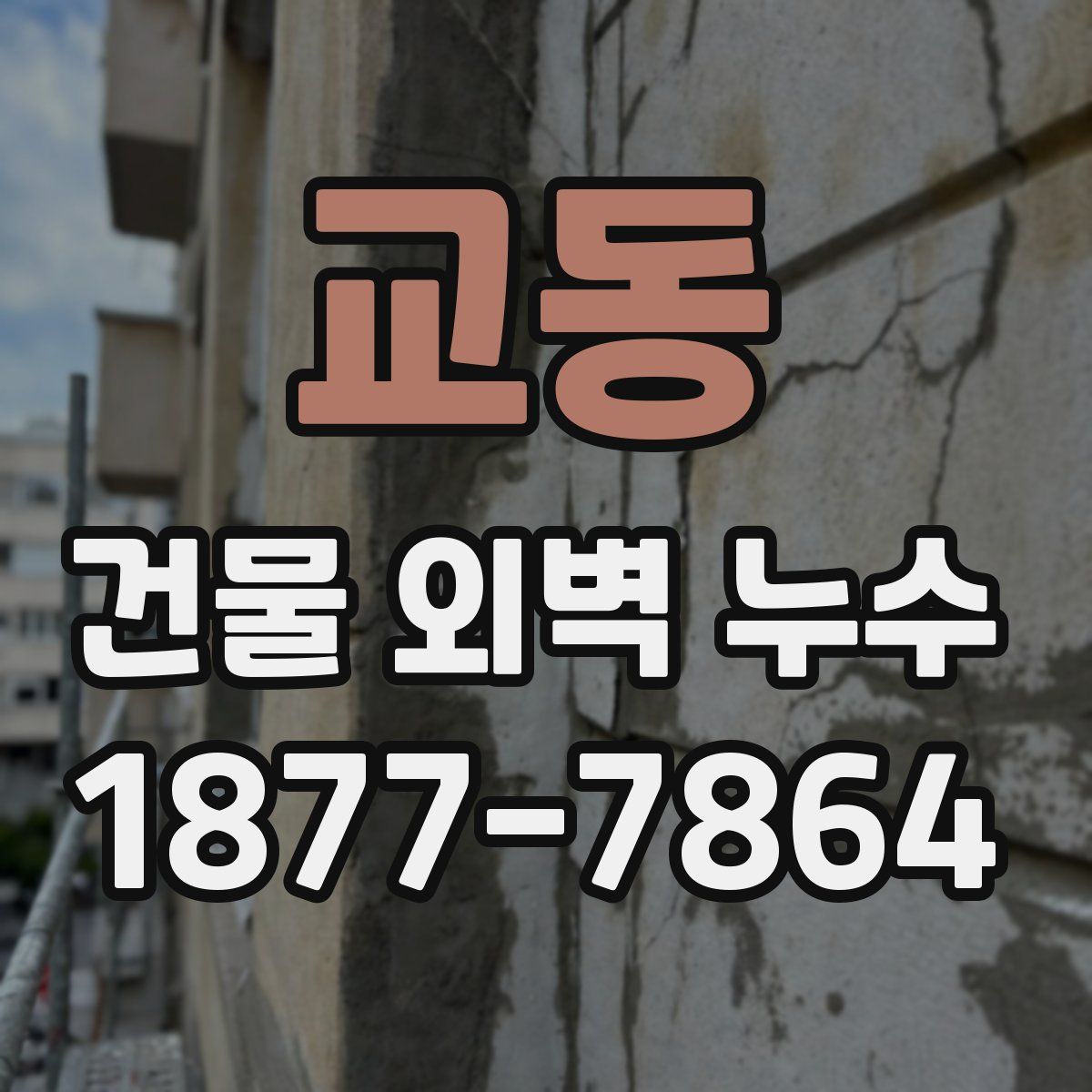 교동 건물 외벽 누수