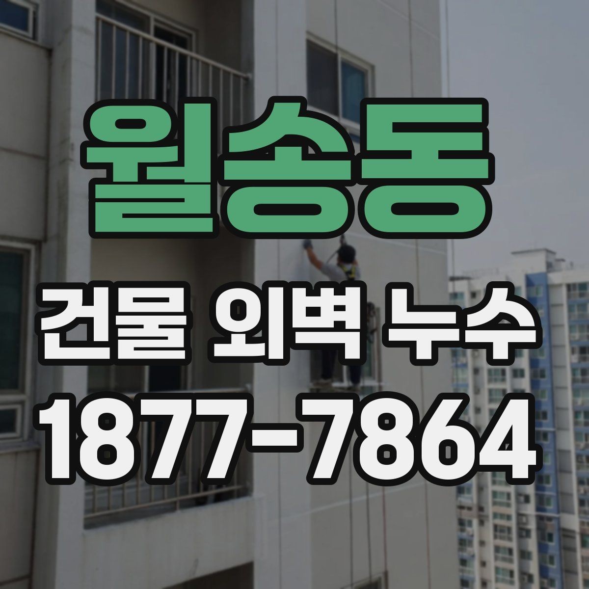월송동 건물 외벽 누수 점검 항목과 검사 순서