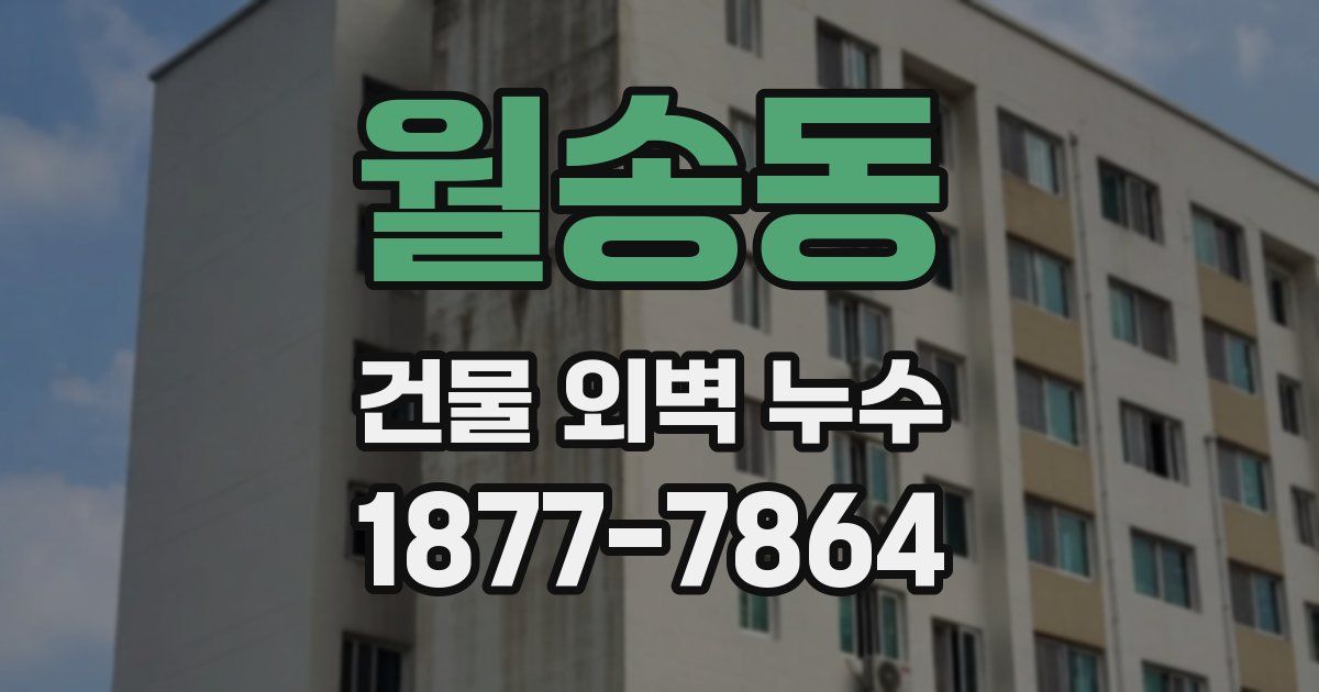 월송동 건물 외벽 누수