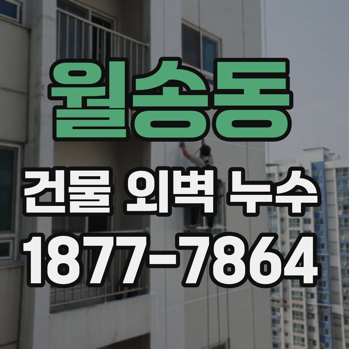 월송동 건물 외벽 누수