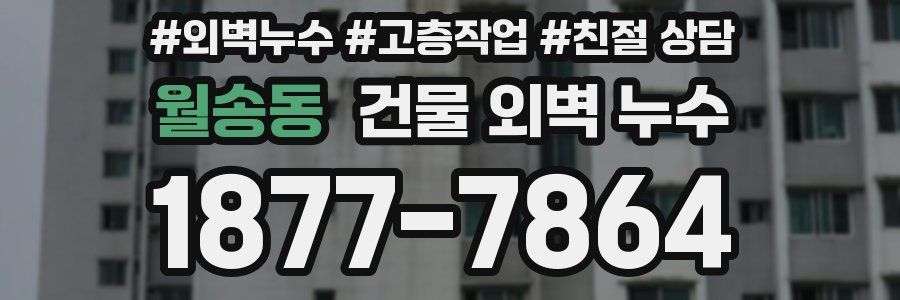 월송동 건물 외벽 누수
