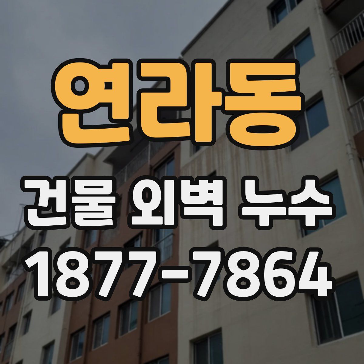 연라동 건물 외벽 누수