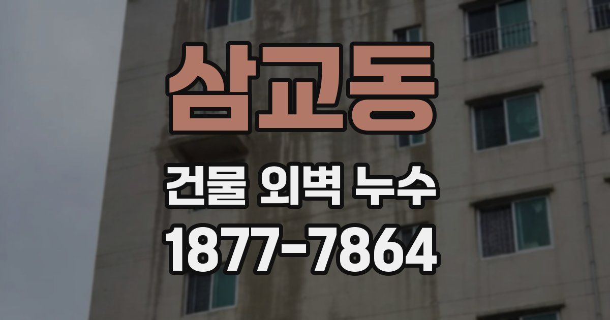 삼교동 건물 외벽 누수