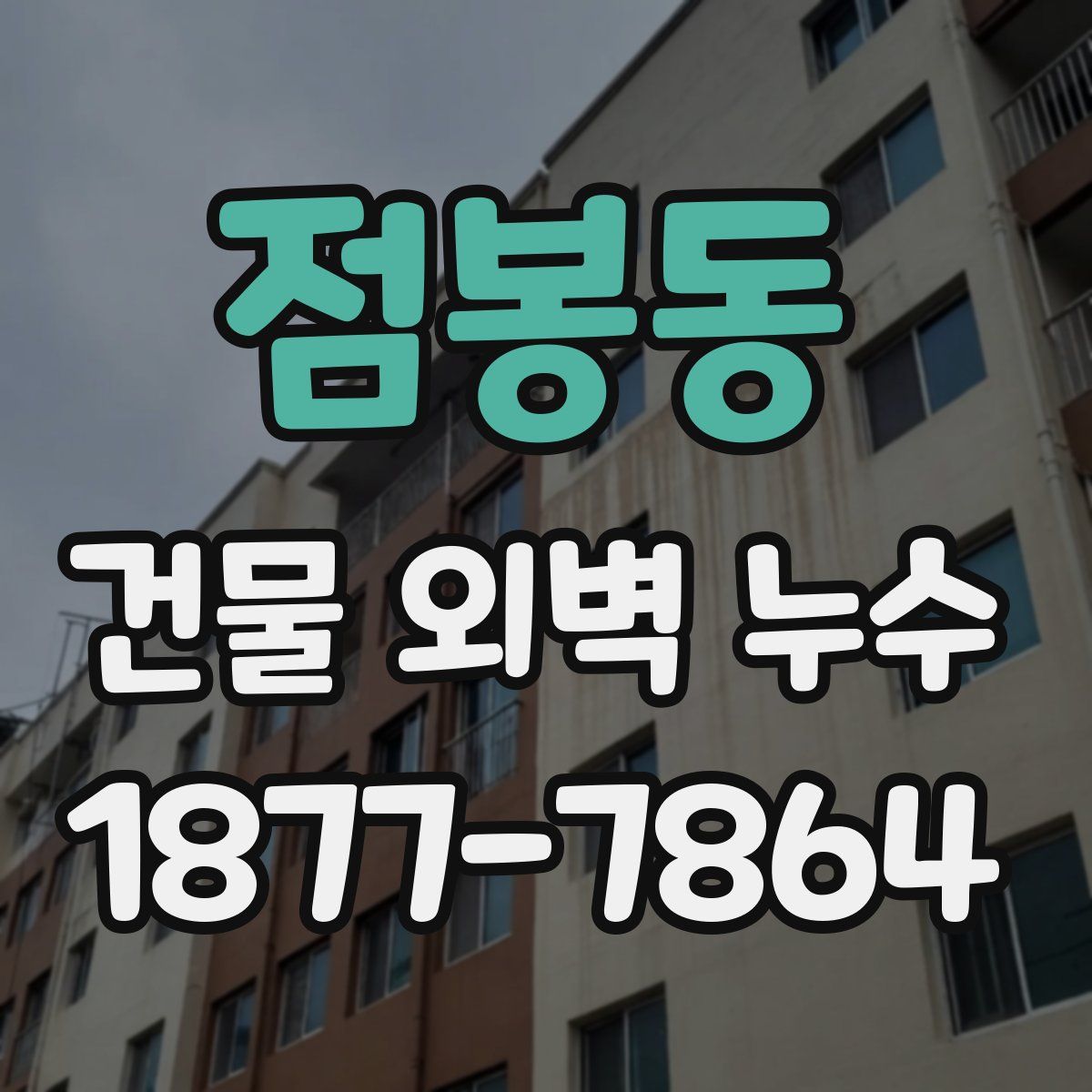 점봉동 건물 외벽 누수