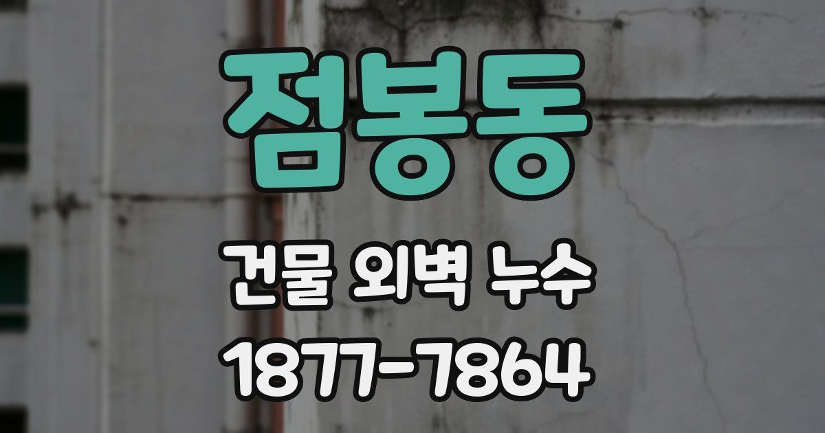 점봉동 건물 외벽 누수