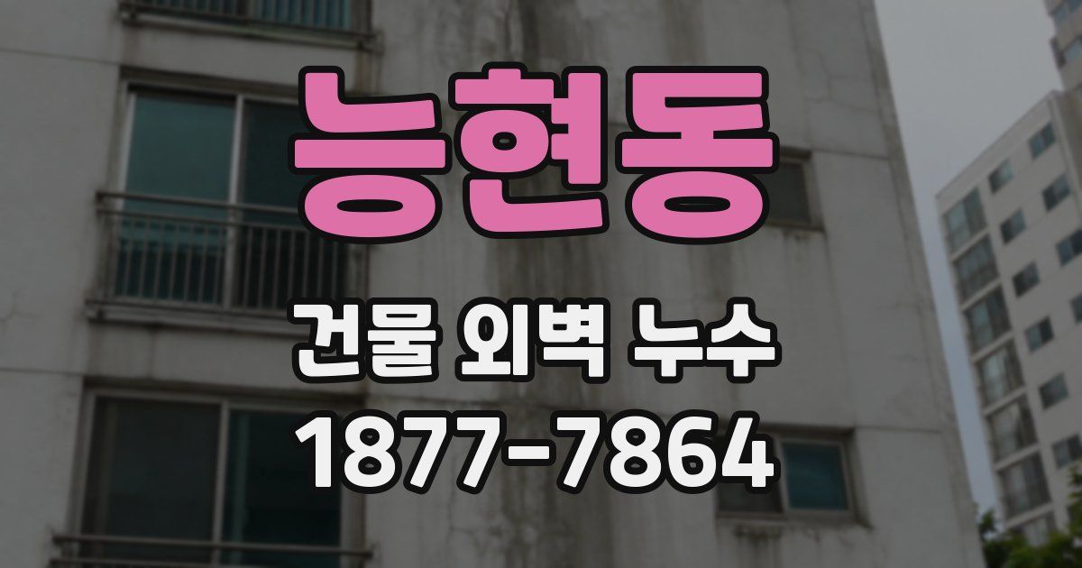 능현동 건물 외벽 누수