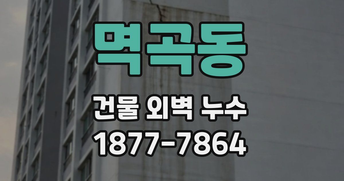 멱곡동 건물 외벽 누수