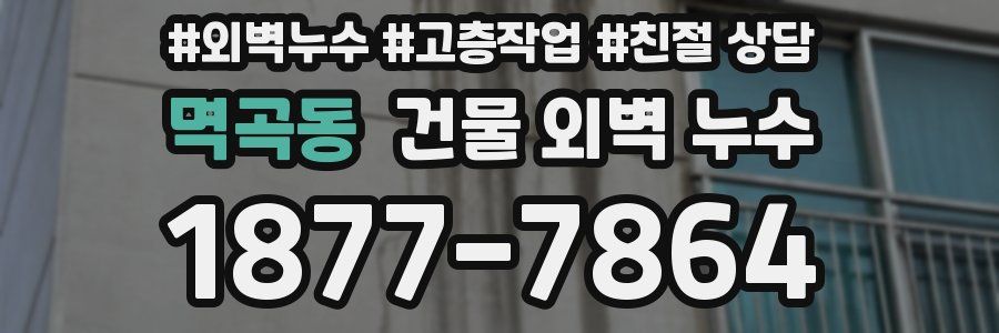 멱곡동 건물 외벽 누수