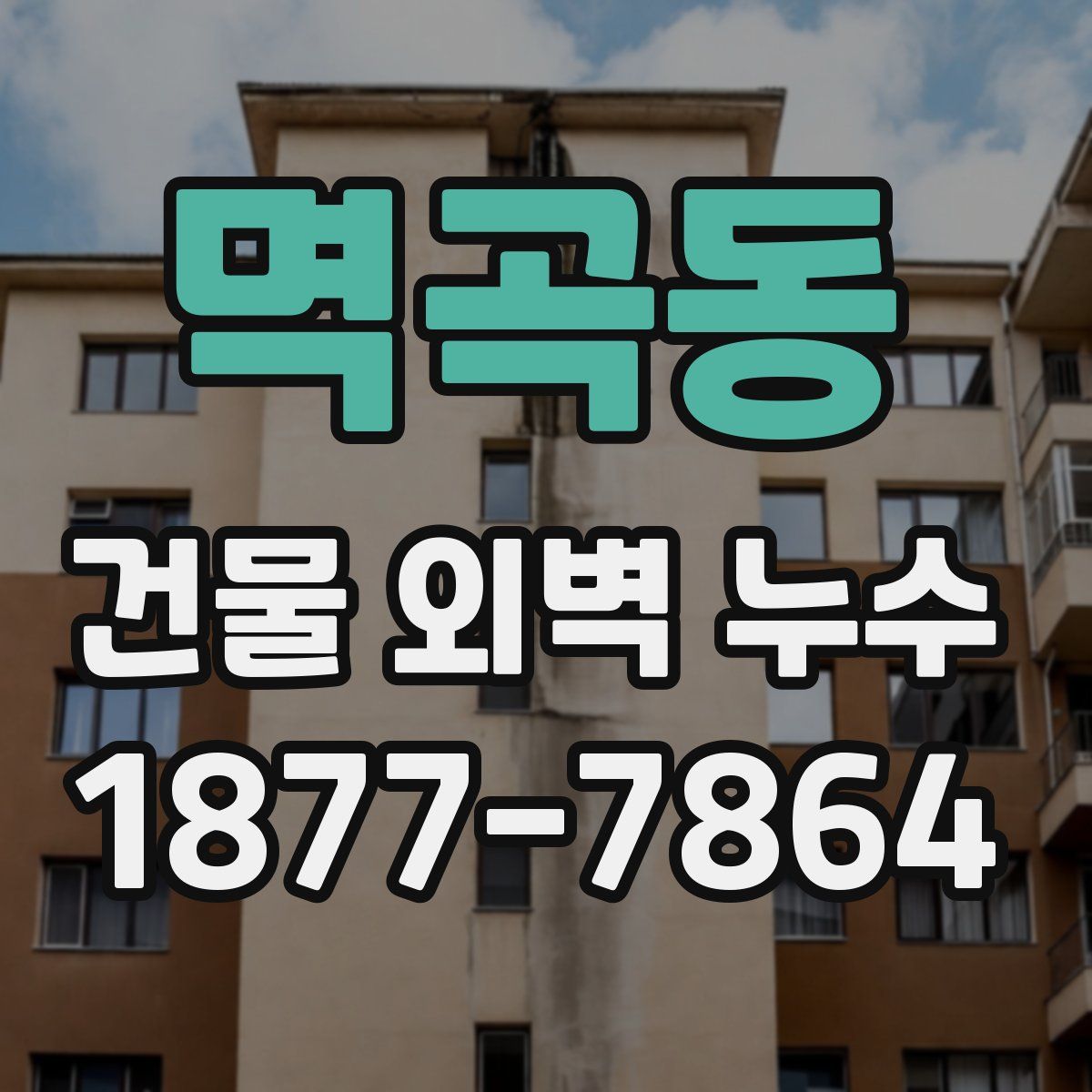 멱곡동 건물 외벽 누수