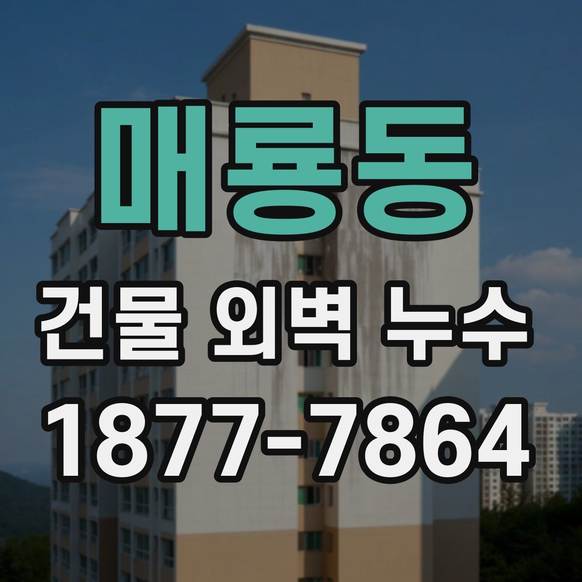 매룡동 건물 외벽 누수