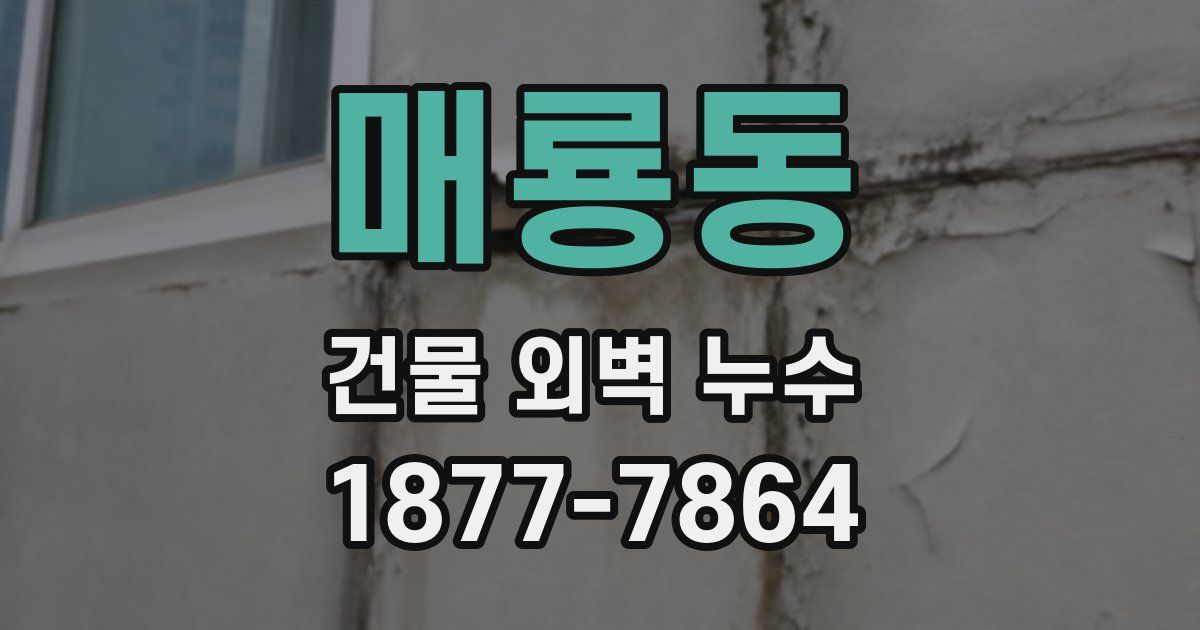 매룡동 건물 외벽 누수