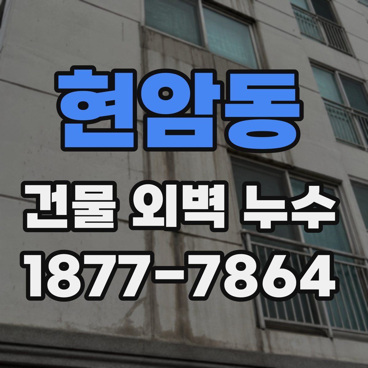 현암동 건물 외벽 누수
