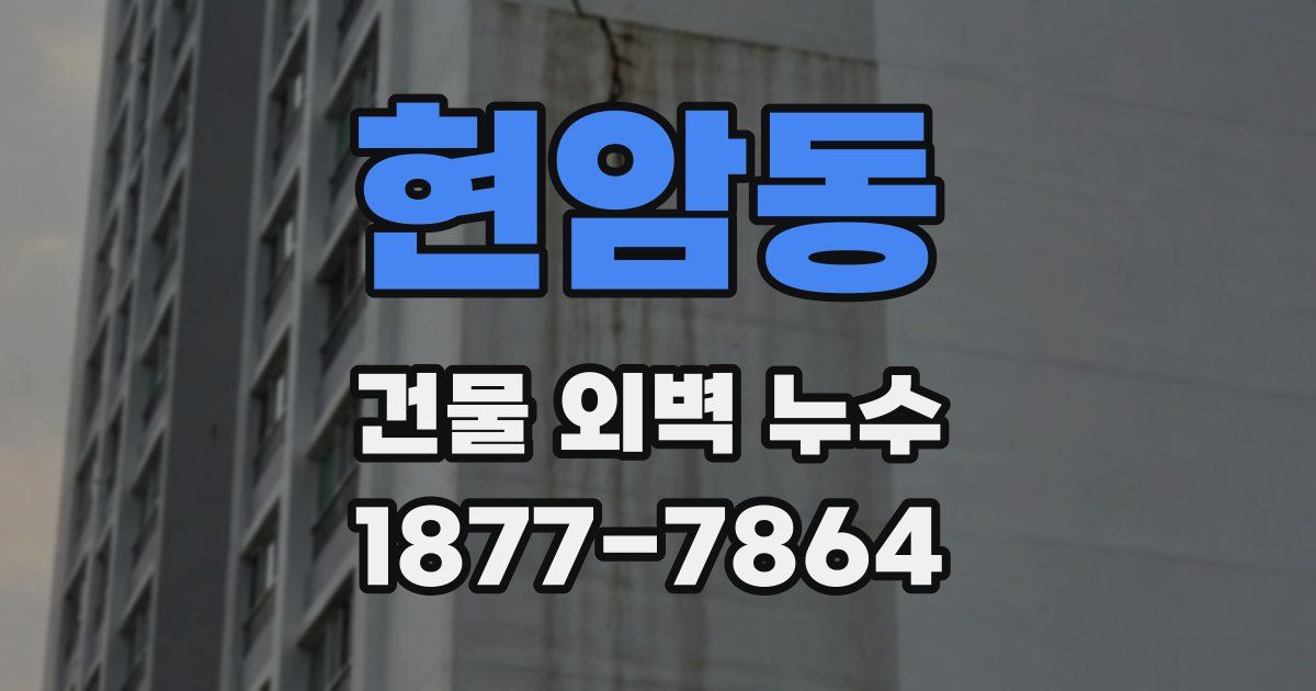 현암동 건물 외벽 누수