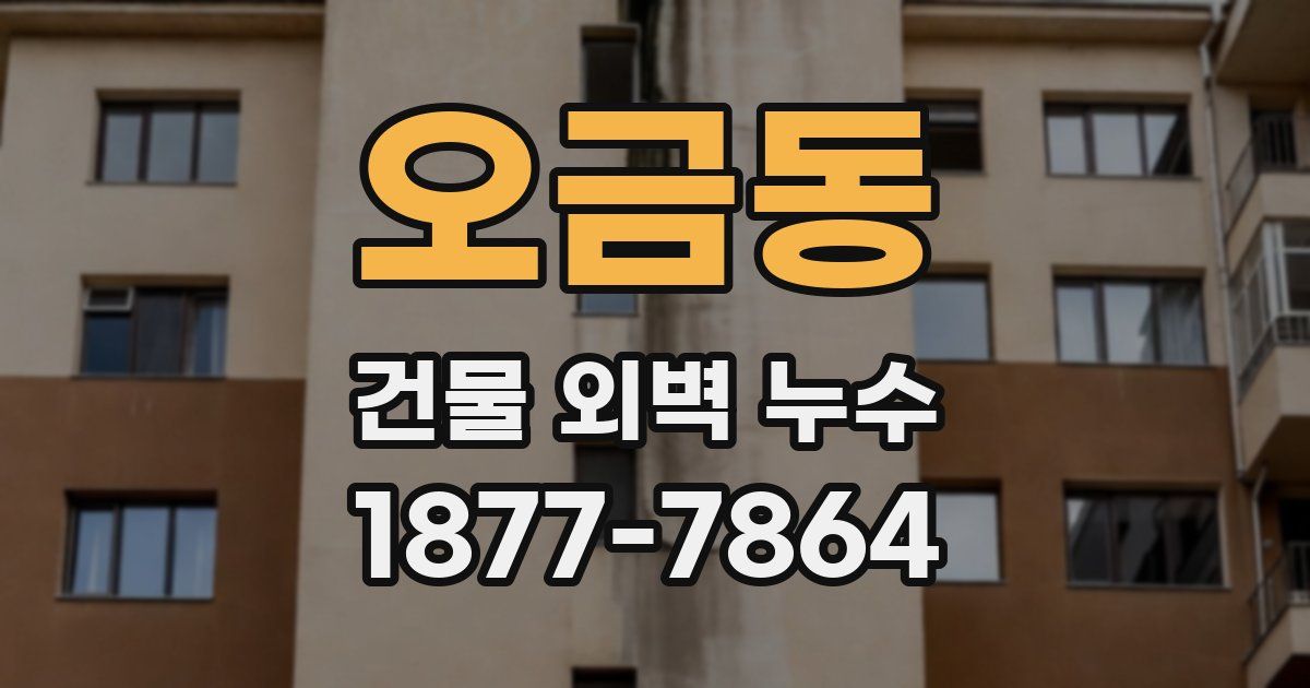 오금동 건물 외벽 누수