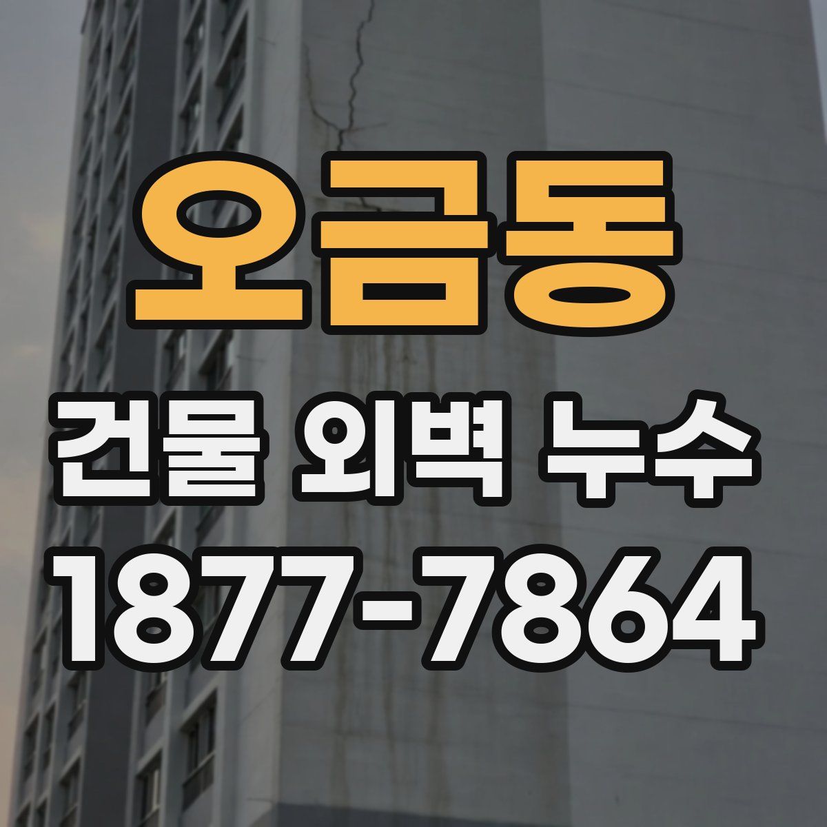 오금동 건물 외벽 누수