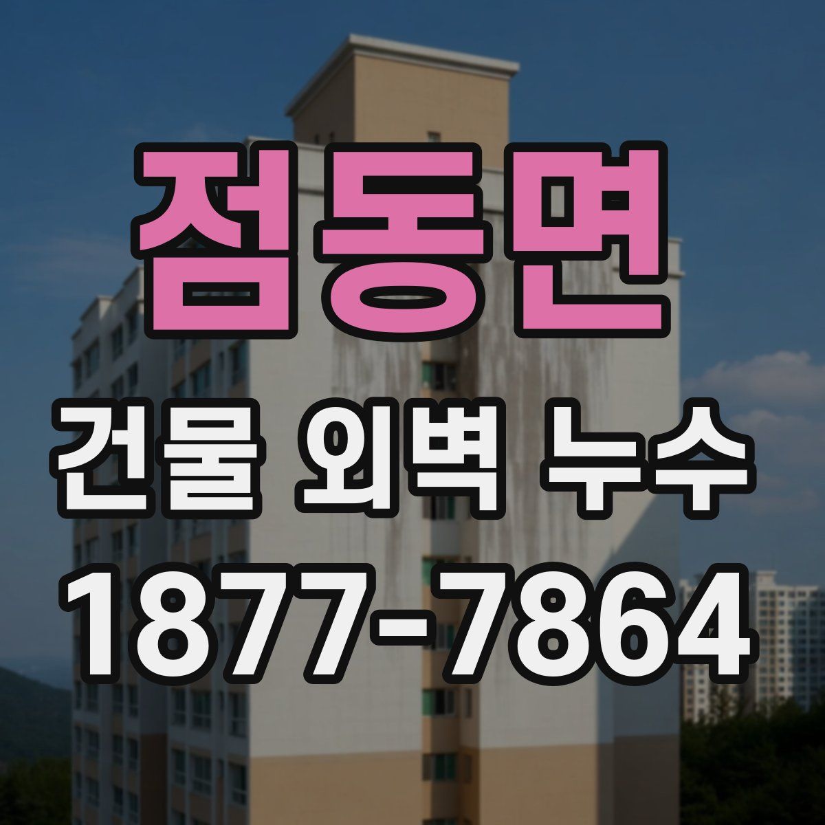 점동면 건물 외벽 누수