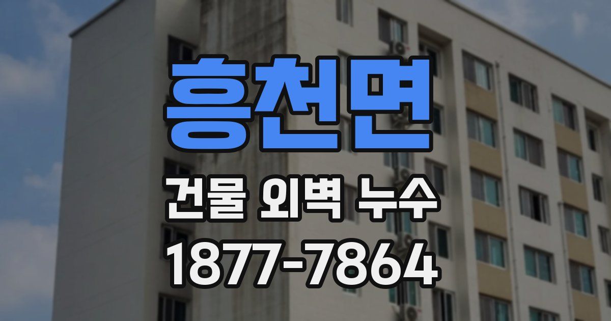 흥천면 건물 외벽 누수