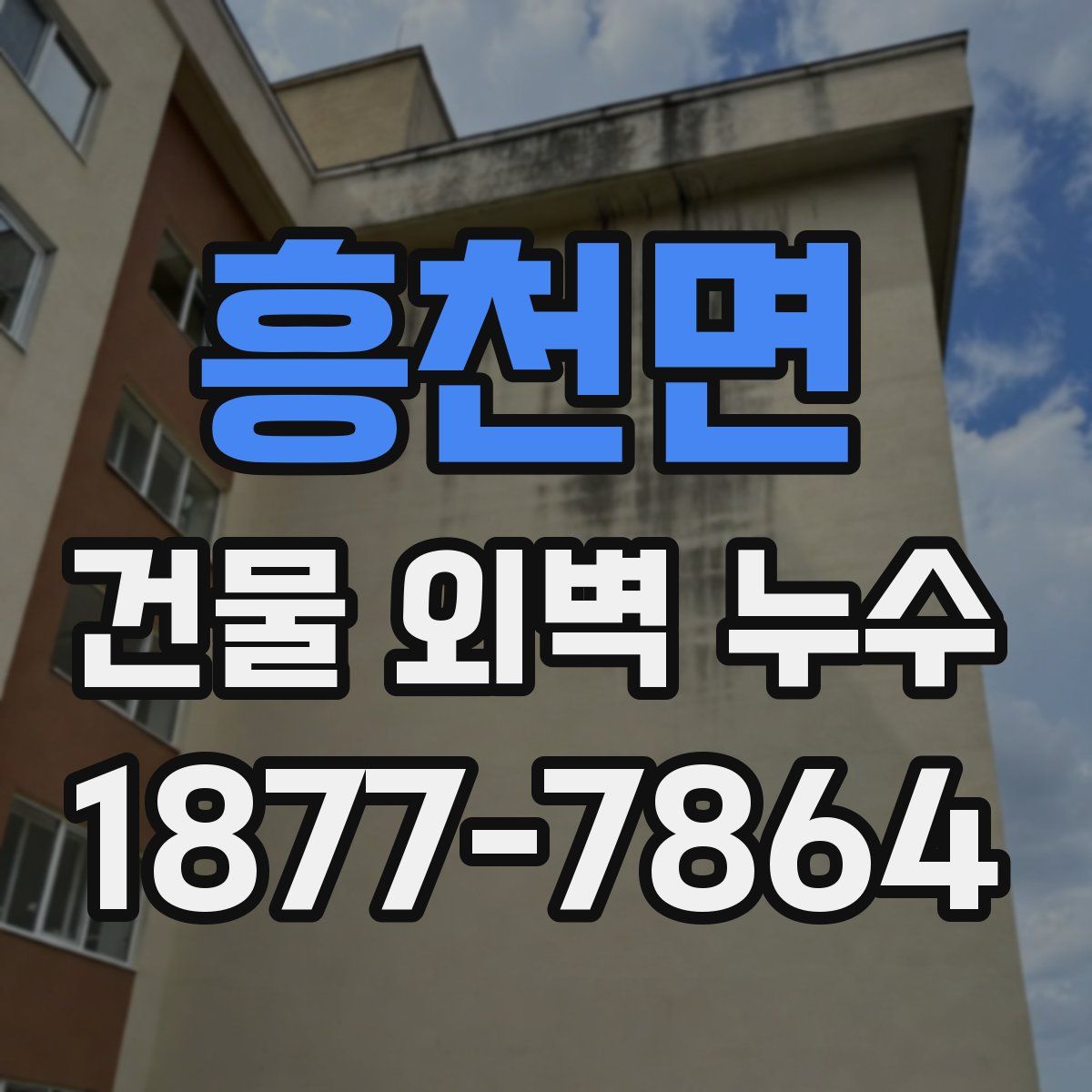 흥천면 건물 외벽 누수