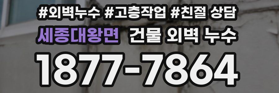세종대왕면 건물 외벽 누수