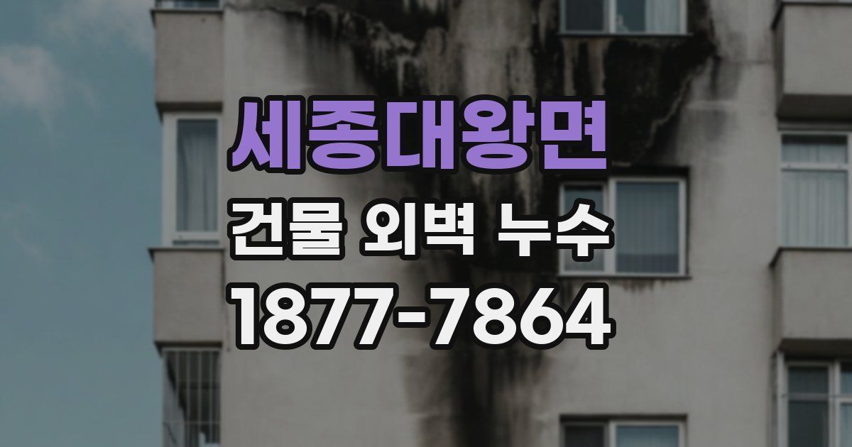 세종대왕면 건물 외벽 누수