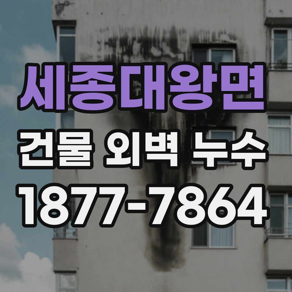 세종대왕면 건물 외벽 누수