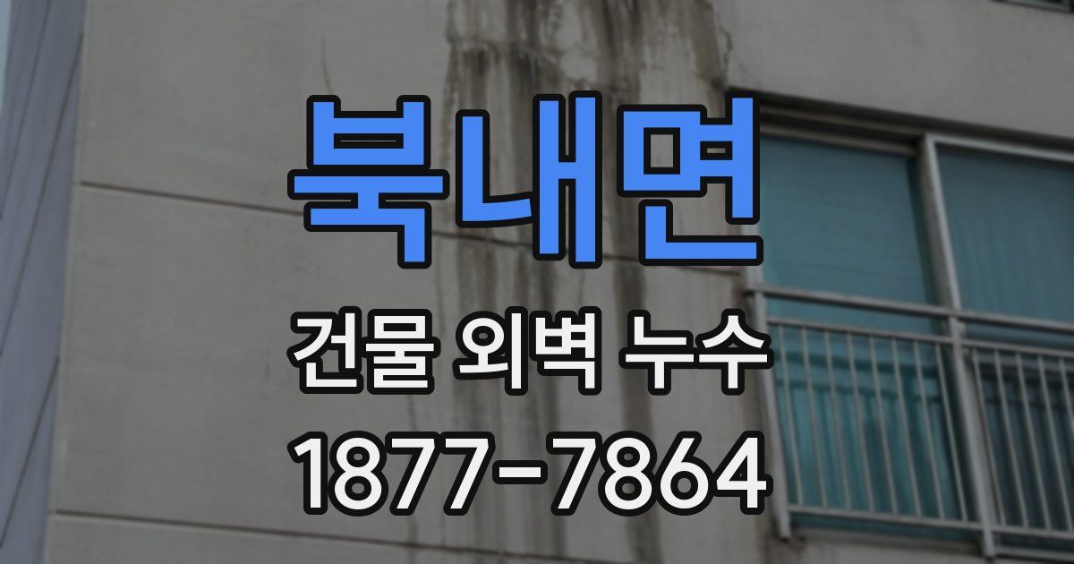 북내면 건물 외벽 누수