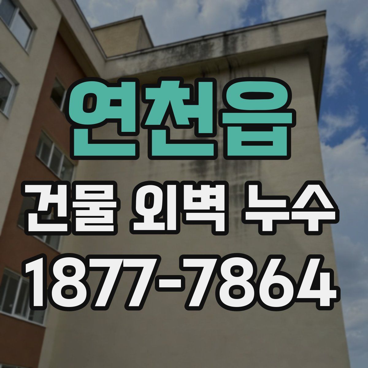 연천읍 건물 외벽 누수